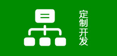定制開發
